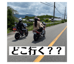 333446842