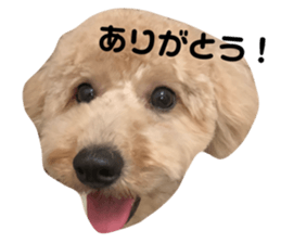 333452991