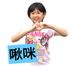 33345381