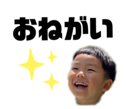 333476674