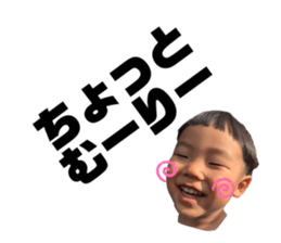 333476691