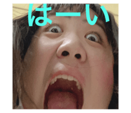 333504475
