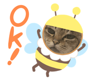 333527687