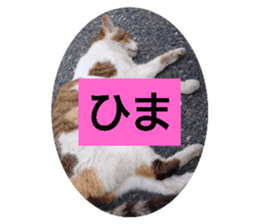 333541286