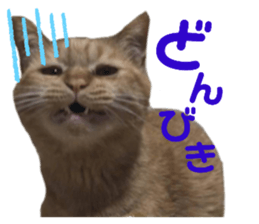 333565767