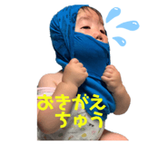 333573797