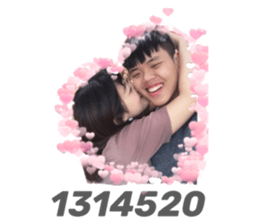 333590430