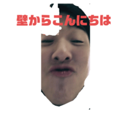 333609565