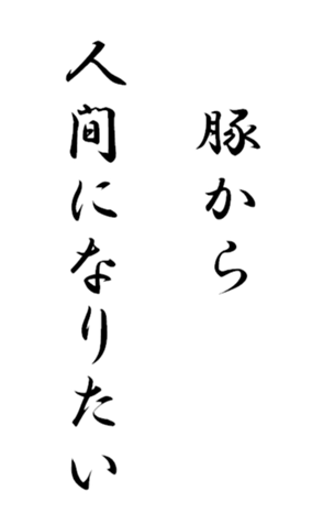 333652296