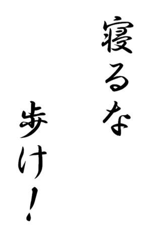 333652302