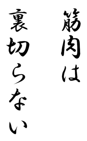 333652305