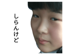 333658462