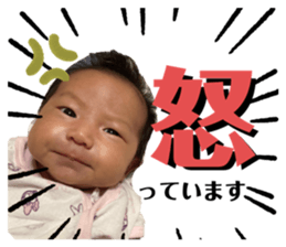 333660059