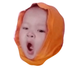 33367898