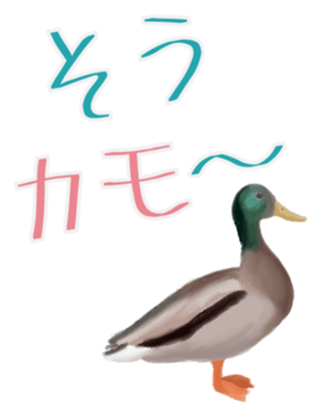 333681787