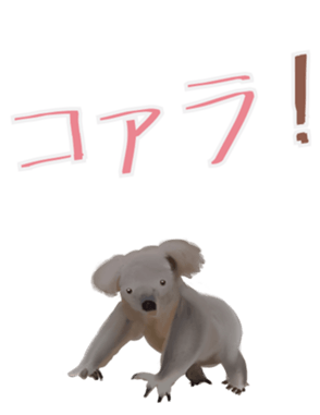 333681789