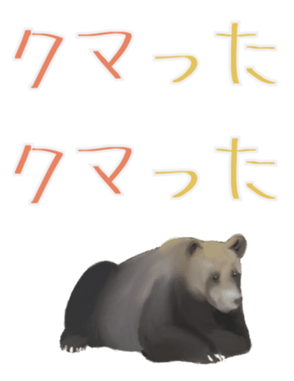 333681802