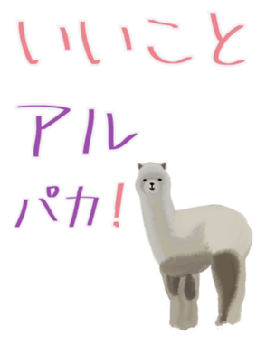 333681805