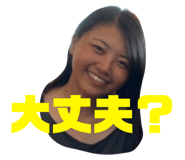 333682980