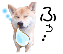 333683624