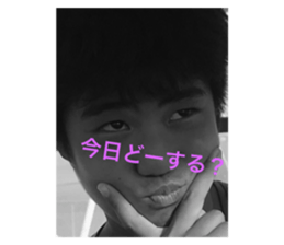 333687558