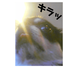 333688479