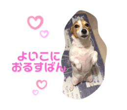 333688657