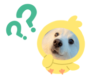 333692584