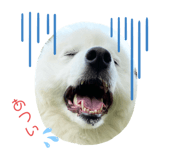 333692594