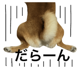 333721114