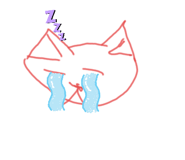 333722975