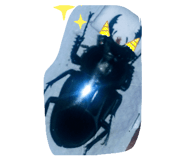 333722981