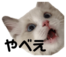 333739823