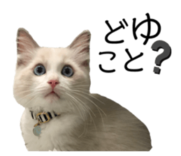 333739830