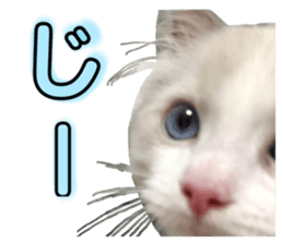 333739831