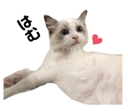 333739837