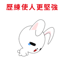 333762551