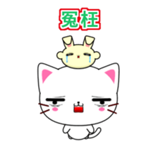 333762620