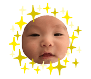 333770125