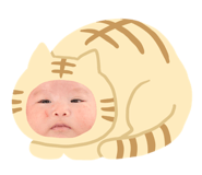 333770126