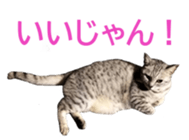 333773302