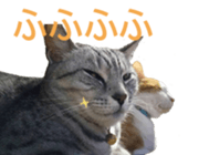 333773305