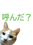 333773310