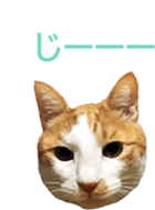 333773311
