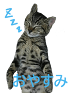 333773313