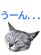 333773314