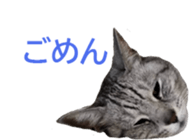 333773315