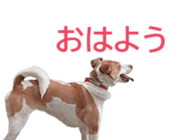 333773316