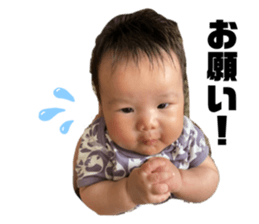333774186