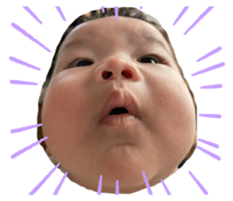 333774195